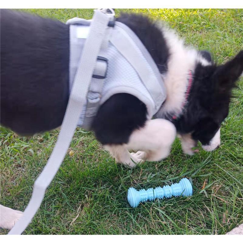 ハーネス リード 犬用 おしゃれ 安全 簡単装着 首輪 お出かけ ペット 小型犬 中型犬 大型犬 胴輪 脱げない かわいい ウェア 通気 反射材 | ブランド登録なし | 13