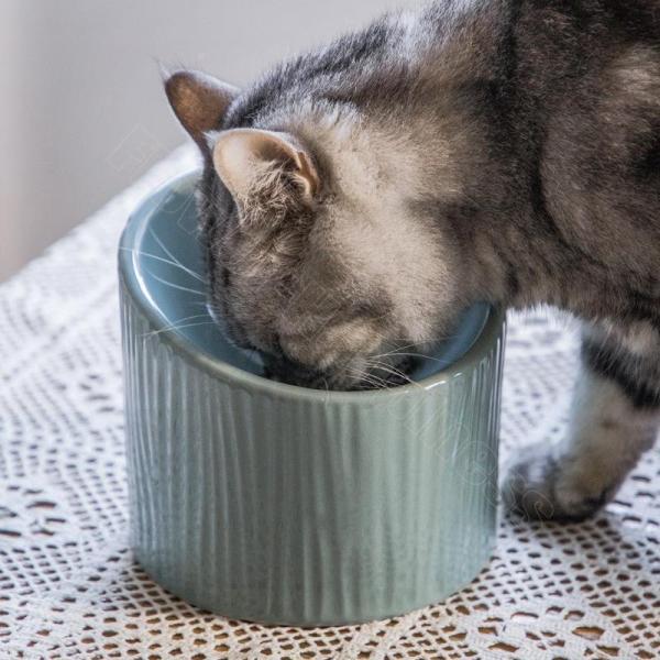傾斜がある 15度 脚付 ペット ボウル 犬 猫食器 陶器 ウォーター ボウル 犬猫用餌入れ水入れ水飲みボウル ペット皿滑り止め 安定感 手入れ簡単 | ブランド登録なし | 02