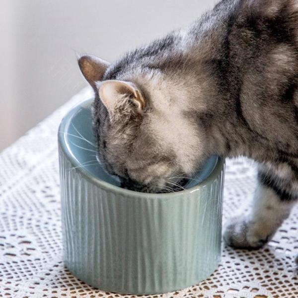 傾斜がある 15度 脚付 ペット ボウル 犬 猫食器 陶器 ウォーター ボウル 犬猫用餌入れ水入れ水飲みボウル ペット皿滑り止め 安定感 手入れ簡単 | ブランド登録なし | 05