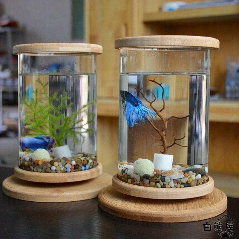 水槽 卓上 ベタ 飼育 おしゃれ インテリア ガラス ピース | ブランド登録なし