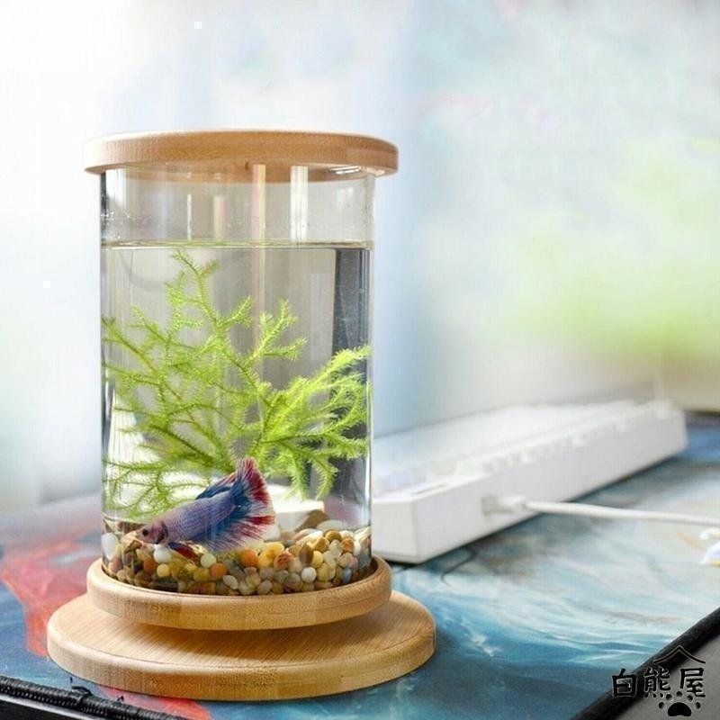 水槽 卓上 ベタ 飼育 おしゃれ インテリア ガラス ピース | ブランド登録なし | 03