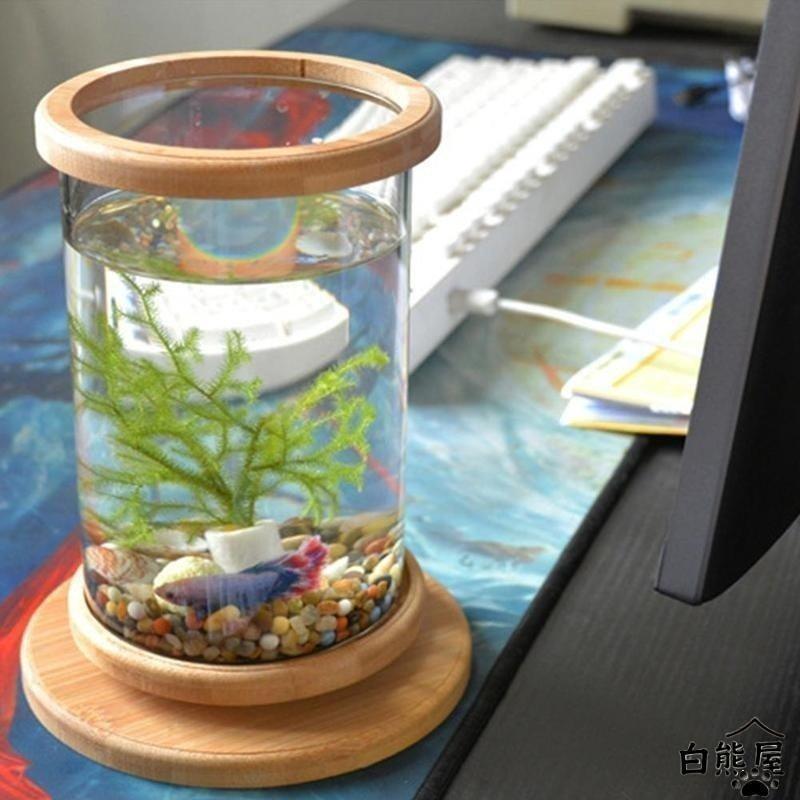 水槽 卓上 ベタ 飼育 おしゃれ インテリア ガラス ピース | ブランド登録なし | 04