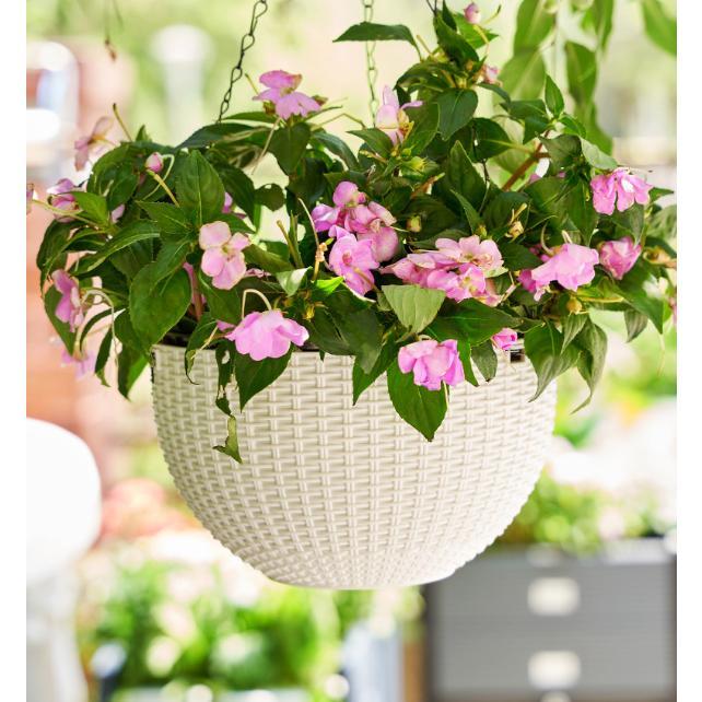 鉢 鉢植え 観葉植物 吊るす プランター ハンギング バスケット 吊り下げ チェーン付き 植木鉢 壁掛け 壁掛けプランター おしゃれ 大型 | ブランド登録なし | 11