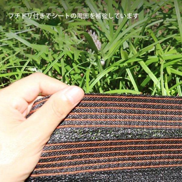 遮光ネット ハトメ付 日除け ベランダ 日よけ 遮熱ネット 遮光率95% 紫外線対策 大きいサイズ 農業用遮光ネット | ブランド登録なし | 09