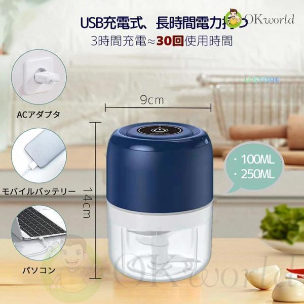 電動フードプロセッサー おしゃれ ブレンダー 小型 大根おろし 離乳食 かき氷 泡立て しょうが みょうが ナッツ 薬味 軽量 調理家電 | ブランド登録なし | 06