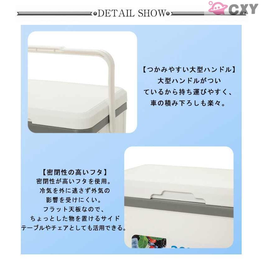 小型クーラーボックス 小型 軽量 長 ハード 保冷バッグ アウトドア クーラーボックス 保冷 釣り おしゃれ 6L 行楽 キャンプ 保温バッグ ピ | ブランド登録なし | 12