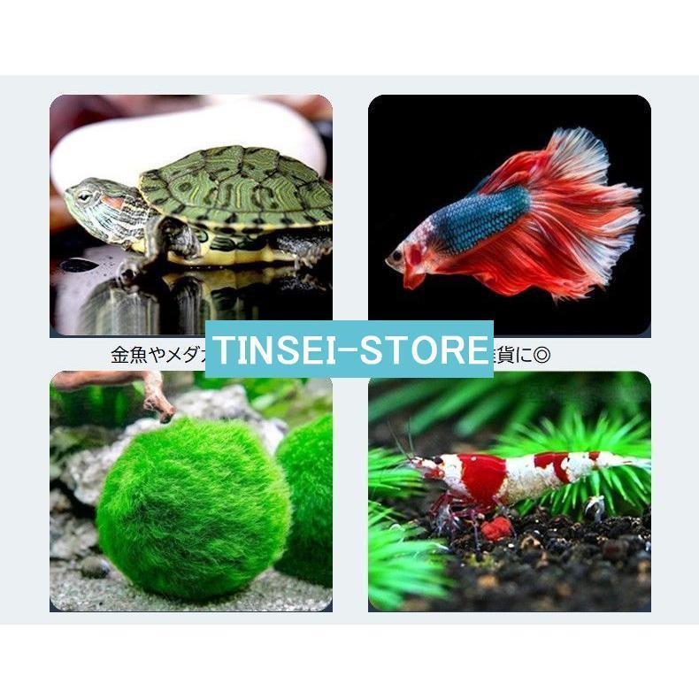 ブロック水槽 キューブ水槽 アクアリウム用品 透明 クリア ミニ水槽 金魚 メダカ飼育 ペット用品 熱帯魚 おしゃれ かわいい インテリア ディスプレ | ブランド登録なし | 03