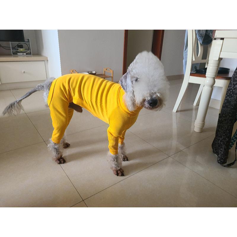 ドッグウェア ロンパース イタリアン グレーハウンド イタグレ服 ロングスリーブ タートルネック リブ スリムフィット 犬服 ペット用品 小型犬 つな | ブランド登録なし | 05