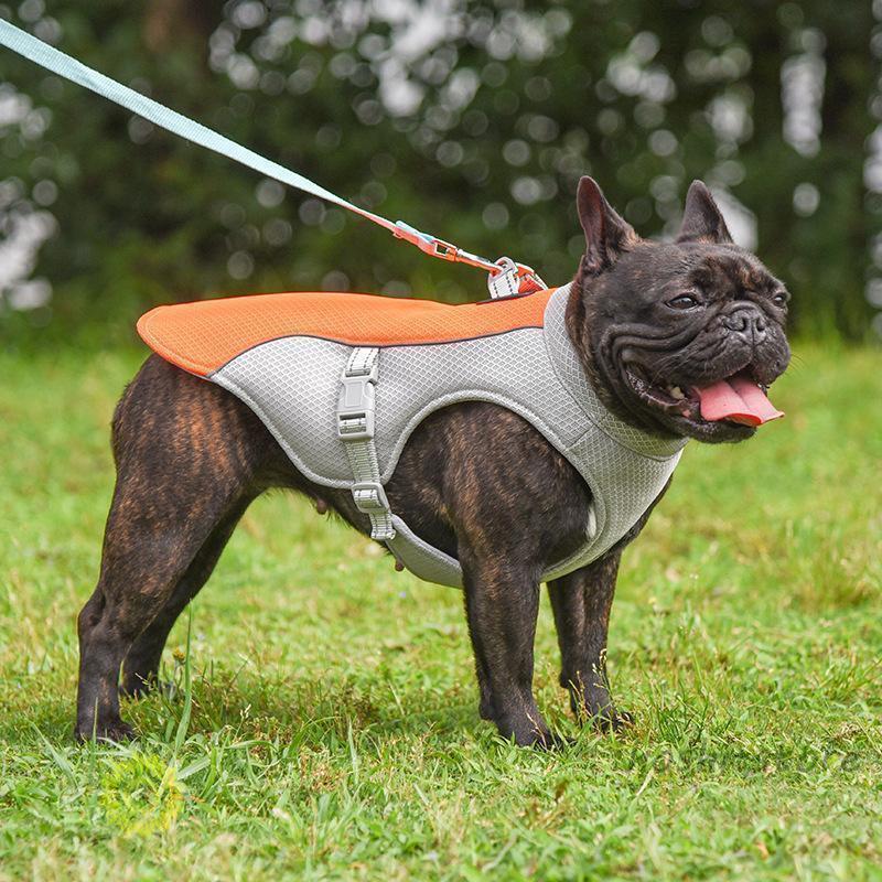 ペット クール 犬用 猫用 熱中症対策 ひんやり 冷感 犬服 小型犬 中型犬 大型犬 接触冷感 ペット服 夏対策 着せやすい 暑さ対策 快適 着脱簡単 | ブランド登録なし | 01