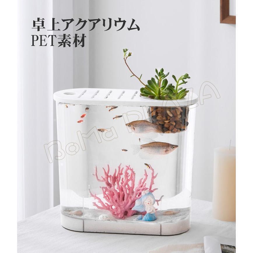 水槽 小型水槽 金魚鉢 アクアリウム水槽 卓上アクアリウム 飼育セット 熱帯魚 メダカ 金魚 透明 観葉植物を入れて メダカ水槽 観賞魚飼育 | ブランド登録なし | 02