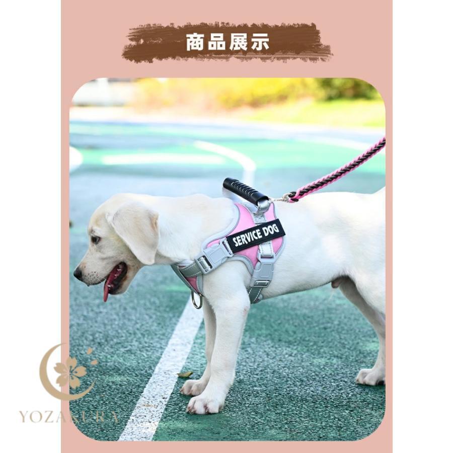 犬 ハーネス 名前 胴輪 名入れ おしゃれ 小型犬 中型犬 大型犬 簡単装着 ハンドル付き 頑丈 抜けない 脱げない ペット用ハーネス ネーム 柔らかい | ブランド登録なし | 12