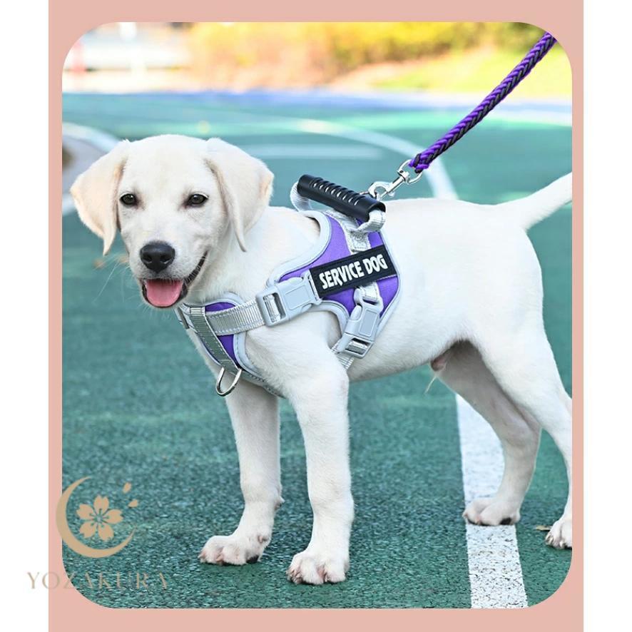 犬 ハーネス 名前 胴輪 名入れ おしゃれ 小型犬 中型犬 大型犬 簡単装着 ハンドル付き 頑丈 抜けない 脱げない ペット用ハーネス ネーム 柔らかい | ブランド登録なし | 13