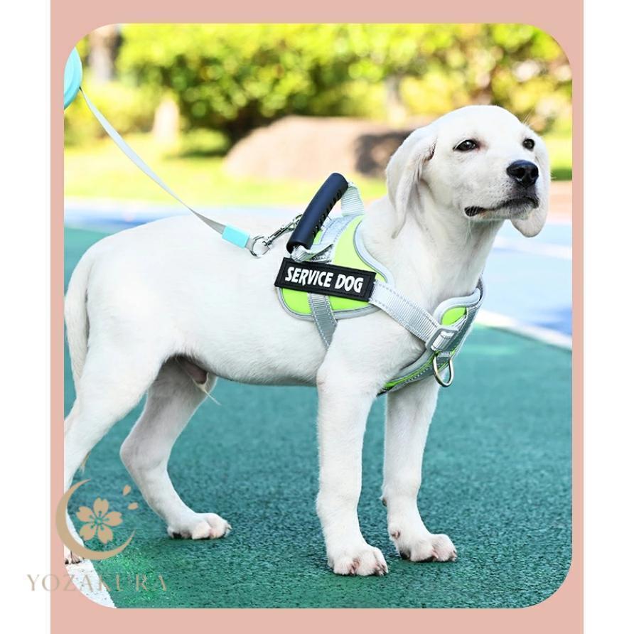 犬 ハーネス 名前 胴輪 名入れ おしゃれ 小型犬 中型犬 大型犬 簡単装着 ハンドル付き 頑丈 抜けない 脱げない ペット用ハーネス ネーム 柔らかい | ブランド登録なし | 14