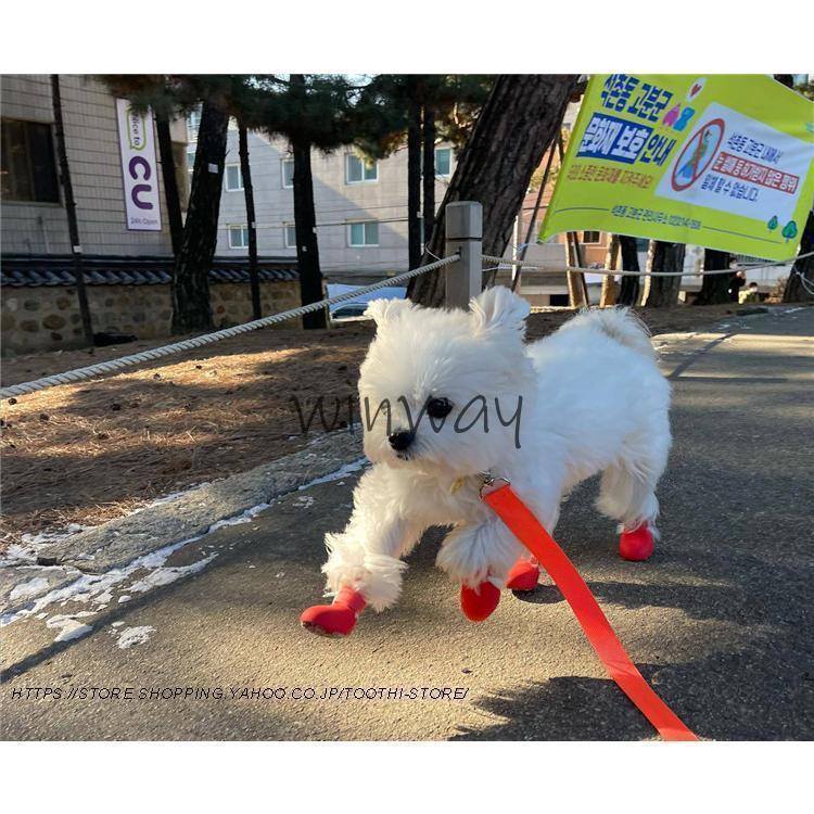 ドッグシューズ　犬の靴　犬用靴 ブーツ ペットシューズ 滑り止め お散歩 肉球保護 傷防止 ケガ防止 ソフト 中型犬 小型犬 転倒防止 履かせやすい | ブランド登録なし | 09
