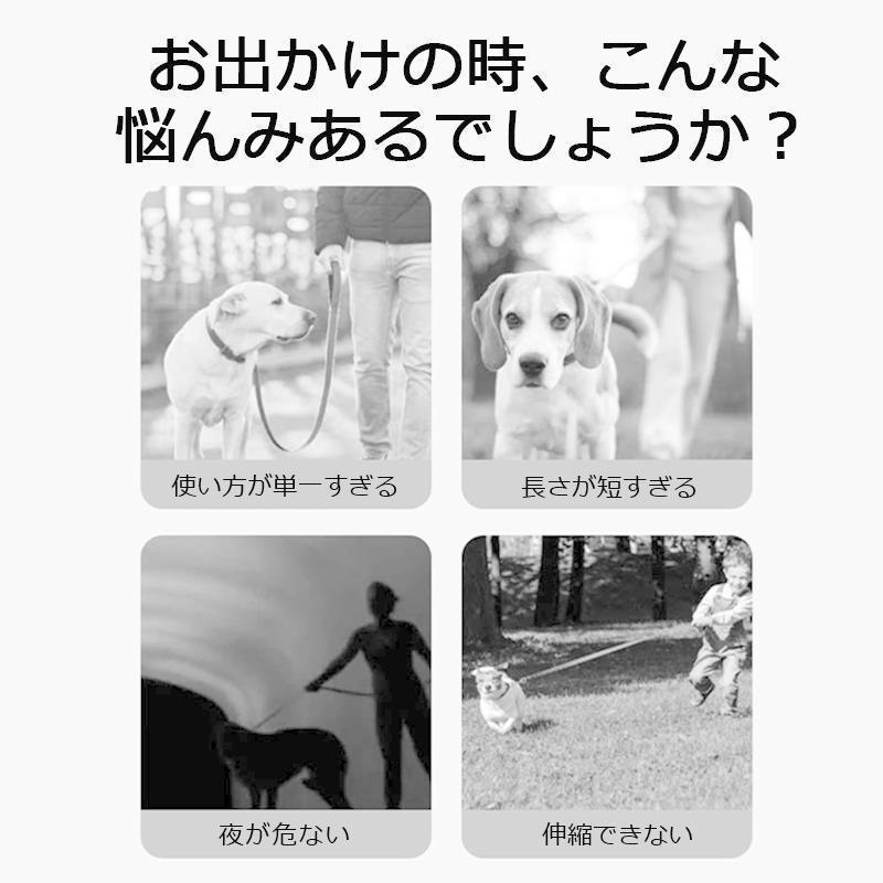 犬 リード LED 伸縮リード 3m 犬用リード ロングリード ライト 小型犬 中型犬 巻き取り式 ペット ドッグリード 光る 夜間散歩 お出かけ | ブランド登録なし | 02