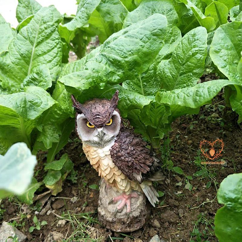 フクロウ 鳩よけ 鳥よけ 鳩 鳥対策 本物そっくり 樹脂 防鳥防獣対策 オーナメント 装飾 ディスプレイ 風水 縁起 ガーデニング 庭 ガーデン | ブランド登録なし | 02