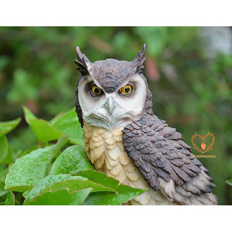 フクロウ 鳩よけ 鳥よけ 鳩 鳥対策 本物そっくり 樹脂 防鳥防獣対策 オーナメント 装飾 ディスプレイ 風水 縁起 ガーデニング 庭 ガーデン | ブランド登録なし | 03