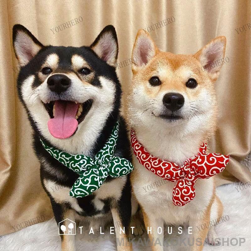 和風 和柄 ペット首輪 唐草模様 首輪 犬用 ネコ用 ネコ アクセサリー 柴犬 かわいい おしゃれ スカーフ 記念撮影 散歩 お出かけ ギフト | ブランド登録なし | 04