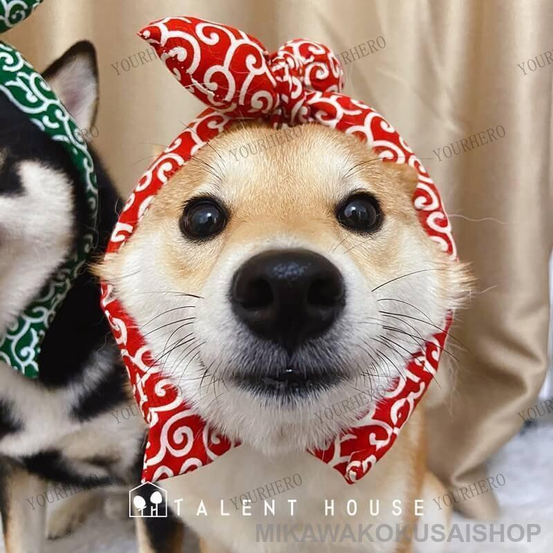和風 和柄 ペット首輪 唐草模様 首輪 犬用 ネコ用 ネコ アクセサリー 柴犬 かわいい おしゃれ スカーフ 記念撮影 散歩 お出かけ ギフト | ブランド登録なし | 06
