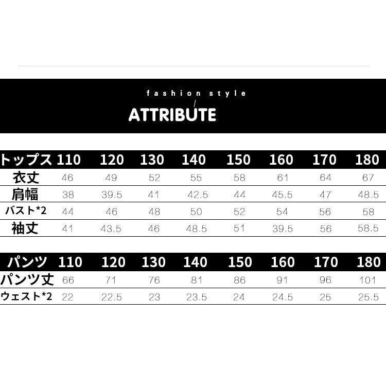 半袖HIPHOPパーカー ジャズダンス衣装 ヒップホップ キッズ ダンス衣装 ジュニア ダンス衣装 応援団 女の子 日常服 体操服 パンツ | ブランド登録なし | 08