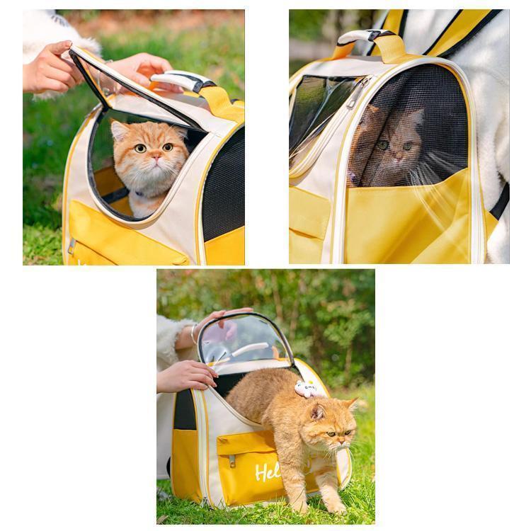 猫リュック ペットキャリーバッグ ペットバッグ 折りたたみ 大きめ リュック バック 猫用 犬用 トリミング 防災 通院 ドライブ 避難用 メッシュ | ブランド登録なし | 10