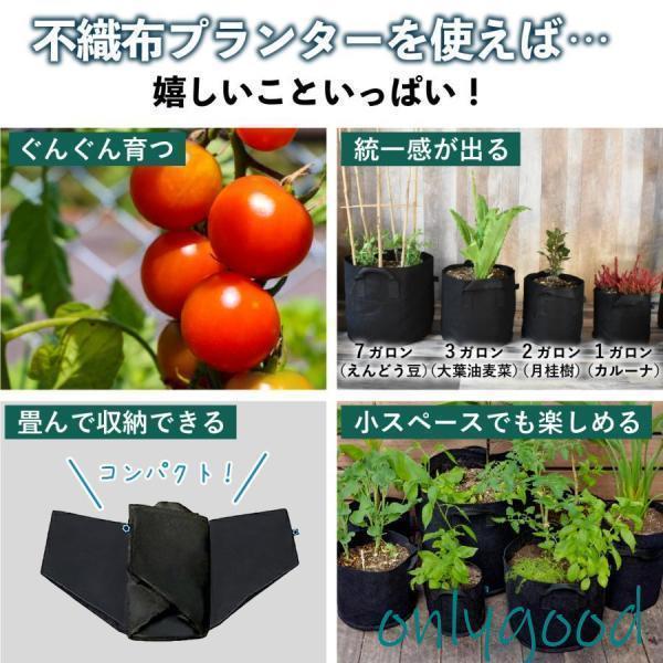 不織布ポット 3個 グレー 植木鉢 軽い 布鉢 プランター 家庭菜園 ベランダ 大型 おしゃれ 不織布 フェルト 野菜栽培 | ブランド登録なし | 03