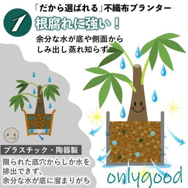 不織布ポット 3個 グレー 植木鉢 軽い 布鉢 プランター 家庭菜園 ベランダ 大型 おしゃれ 不織布 フェルト 野菜栽培 | ブランド登録なし | 05