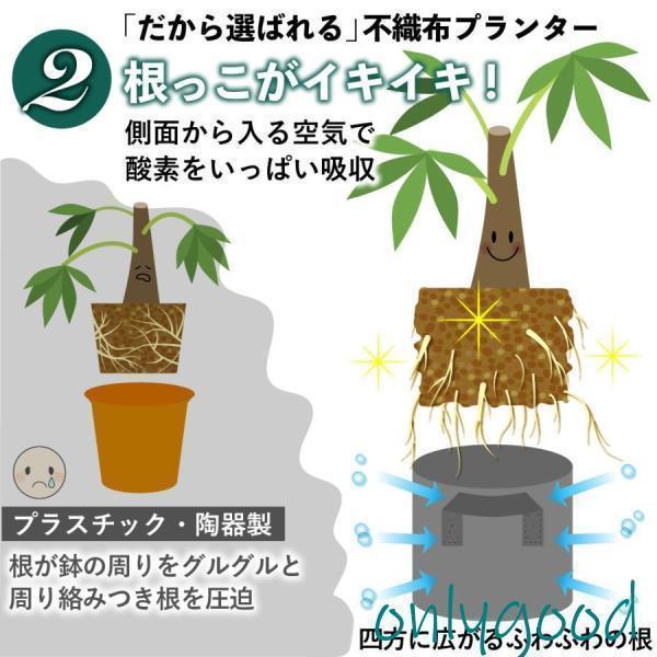 不織布ポット 3個 グレー 植木鉢 軽い 布鉢 プランター 家庭菜園 ベランダ 大型 おしゃれ 不織布 フェルト 野菜栽培 | ブランド登録なし | 06