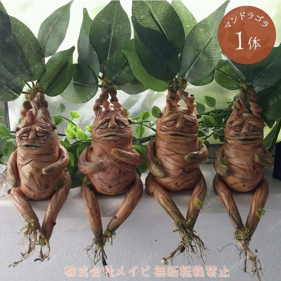 置物 マンドラゴラ マンドレイク ホラー リアル 本格的 誕生日 飾り付け 室内 傷 スカー 仮装 クリスマス用品 怖い 恐怖 骨 ボーン 渋い | ブランド登録なし