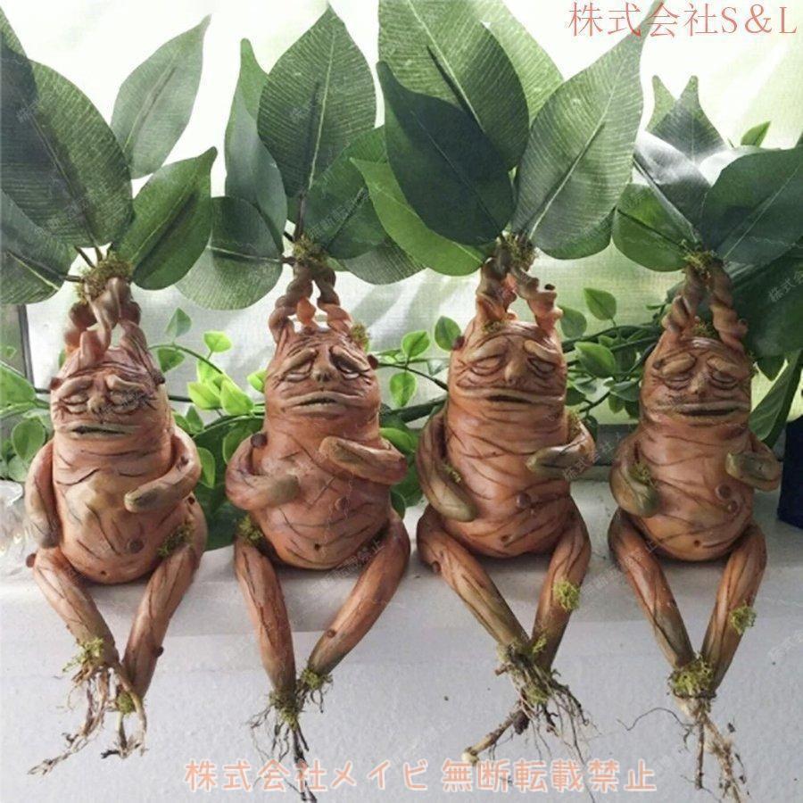 置物 マンドラゴラ マンドレイク ホラー リアル 本格的 誕生日 飾り付け 室内 傷 スカー 仮装 クリスマス用品 怖い 恐怖 骨 ボーン 渋い | ブランド登録なし | 01