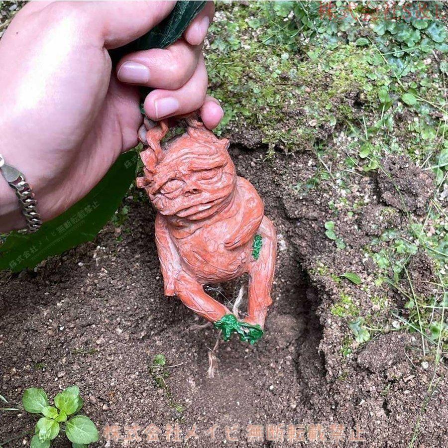 置物 マンドラゴラ マンドレイク ホラー リアル 本格的 誕生日 飾り付け 室内 傷 スカー 仮装 クリスマス用品 怖い 恐怖 骨 ボーン 渋い | ブランド登録なし | 04