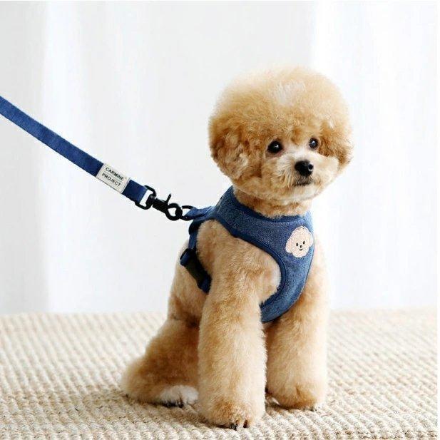 ハーネス マルチーズ 小型犬 おさんぽ おでかけ お出掛け おしゃれ オシャレ かわいい キャラクター 韓国 ビションフリーゼ お手入れ簡単 快適空間 | ブランド登録なし | 03