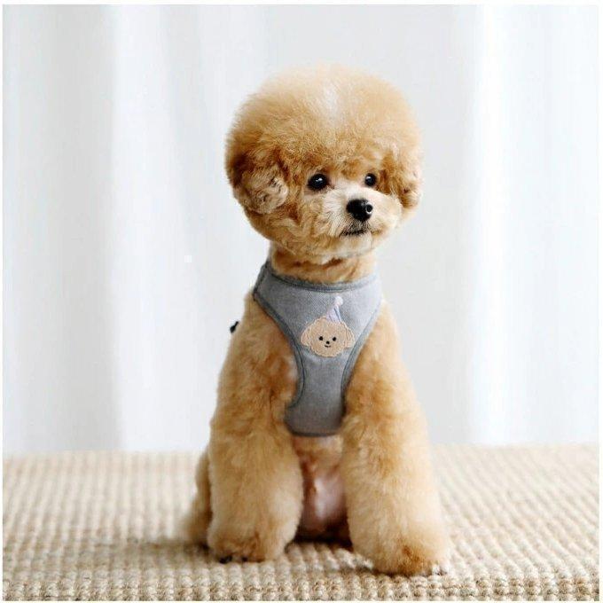 ハーネス マルチーズ 小型犬 おさんぽ おでかけ お出掛け おしゃれ オシャレ かわいい キャラクター 韓国 ビションフリーゼ お手入れ簡単 快適空間 | ブランド登録なし | 04