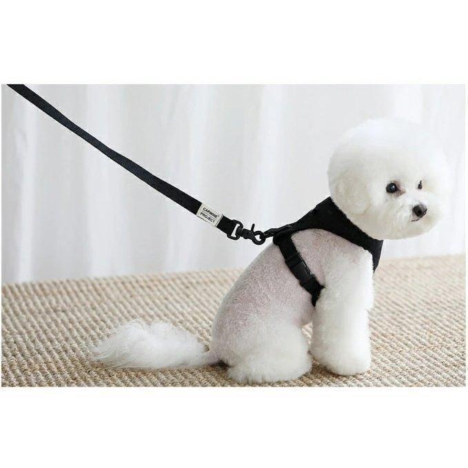 ハーネス マルチーズ 小型犬 おさんぽ おでかけ お出掛け おしゃれ オシャレ かわいい キャラクター 韓国 ビションフリーゼ お手入れ簡単 快適空間 | ブランド登録なし | 07