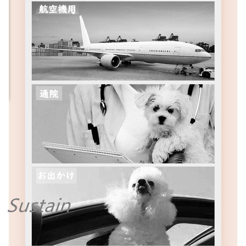 ペットキャリー バリケンネル 小型犬 上部トビラ付き カーボックス キャリーケース クレート 移動用 旅行用 軽量 通気 | ブランド登録なし | 08