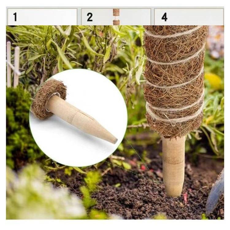 観葉植物 支柱 3本セット モンステラ 支柱 ココスティック 園芸支柱 植物 ガーデニング用 倒れ防止 花ささえ ココナッツ支柱 植物サポート つる性 | ブランド登録なし | 12