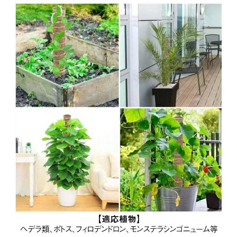 観葉植物 支柱 3本セット モンステラ 支柱 ココスティック 園芸支柱 植物 ガーデニング用 倒れ防止 花ささえ ココナッツ支柱 植物サポート つる性 | ブランド登録なし | 14