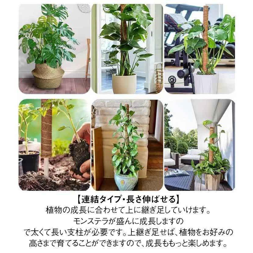 観葉植物 支柱 3本セット モンステラ 支柱 ココスティック 園芸支柱 植物 ガーデニング用 倒れ防止 花ささえ ココナッツ支柱 植物サポート つる性 | ブランド登録なし | 16