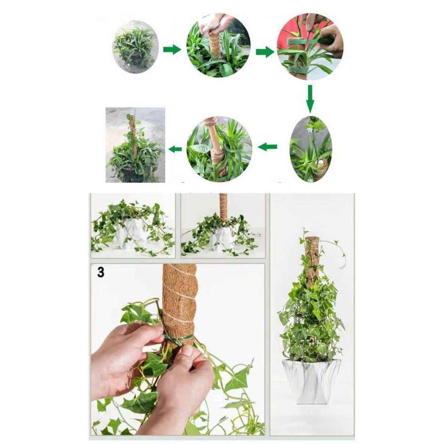 観葉植物 支柱 3本セット モンステラ 支柱 ココスティック 園芸支柱 植物 ガーデニング用 倒れ防止 花ささえ ココナッツ支柱 植物サポート つる性 | ブランド登録なし | 17