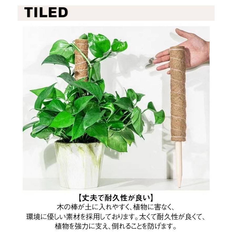 観葉植物 支柱 3本セット モンステラ 支柱 ココスティック 園芸支柱 植物 ガーデニング用 倒れ防止 花ささえ ココナッツ支柱 植物サポート つる性 | ブランド登録なし | 06