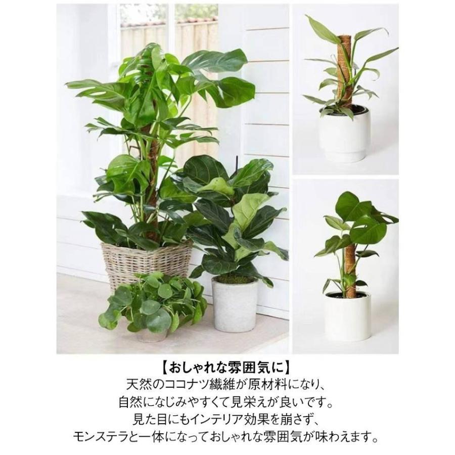 観葉植物 支柱 3本セット モンステラ 支柱 ココスティック 園芸支柱 植物 ガーデニング用 倒れ防止 花ささえ ココナッツ支柱 植物サポート つる性 | ブランド登録なし | 07