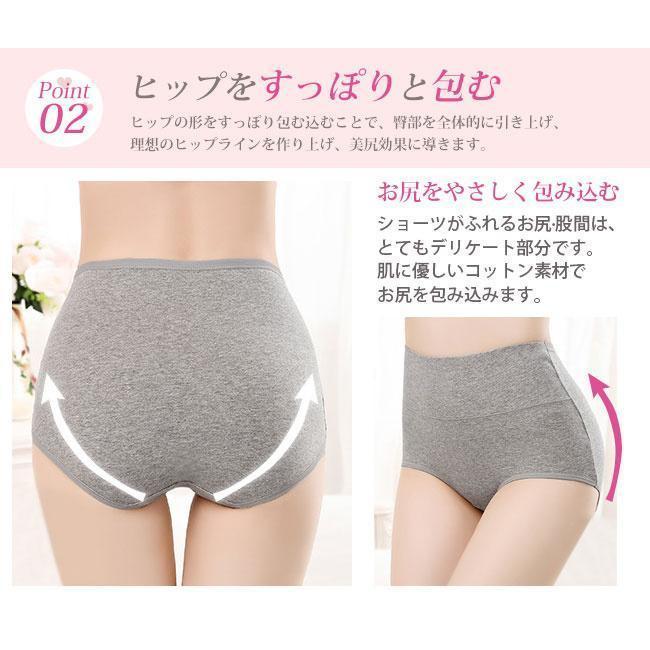 2枚セット レディース ハイウエストショーツ 綿 おなかすっぽり 深履き 下着 パンツ 大きいサイズ ストレッチ インナー綿ショーツ ガードル | ブランド登録なし | 12