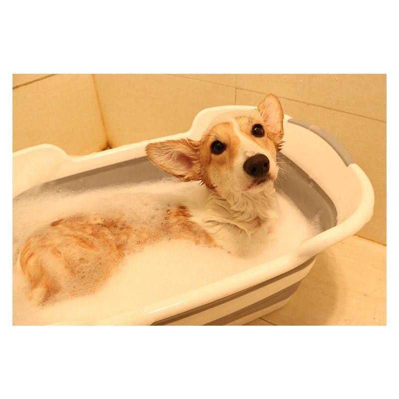 ペット お風呂 バスタブ 白 緑 おけ 折りたたみ バケツ 犬のお風呂 シャンプー おしゃれ 猫 ペット用 犬用 浴槽 バスタブにも 収納便利 | ブランド登録なし | 07