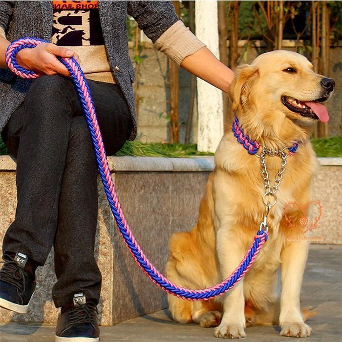 犬 リード 首輪 極太 ペット ドッグ ハーフチョーク チョーカー 編込み 大型犬 中型犬 小型犬 | ブランド登録なし | 05