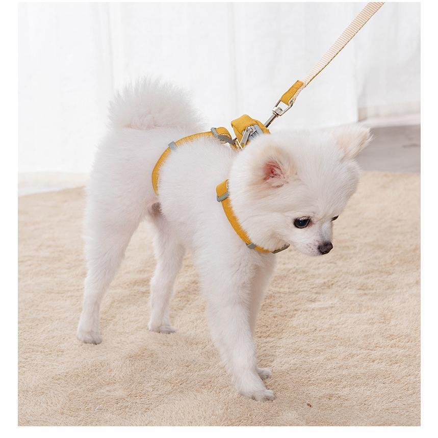 犬 猫 ハーネス 犬ハーネス 犬用ハーネス 犬のハーネス おしゃれ かわいい リード 子犬 小型犬 中型犬 脱げない 犬ハーネスリードセット リボン | ブランド登録なし | 09