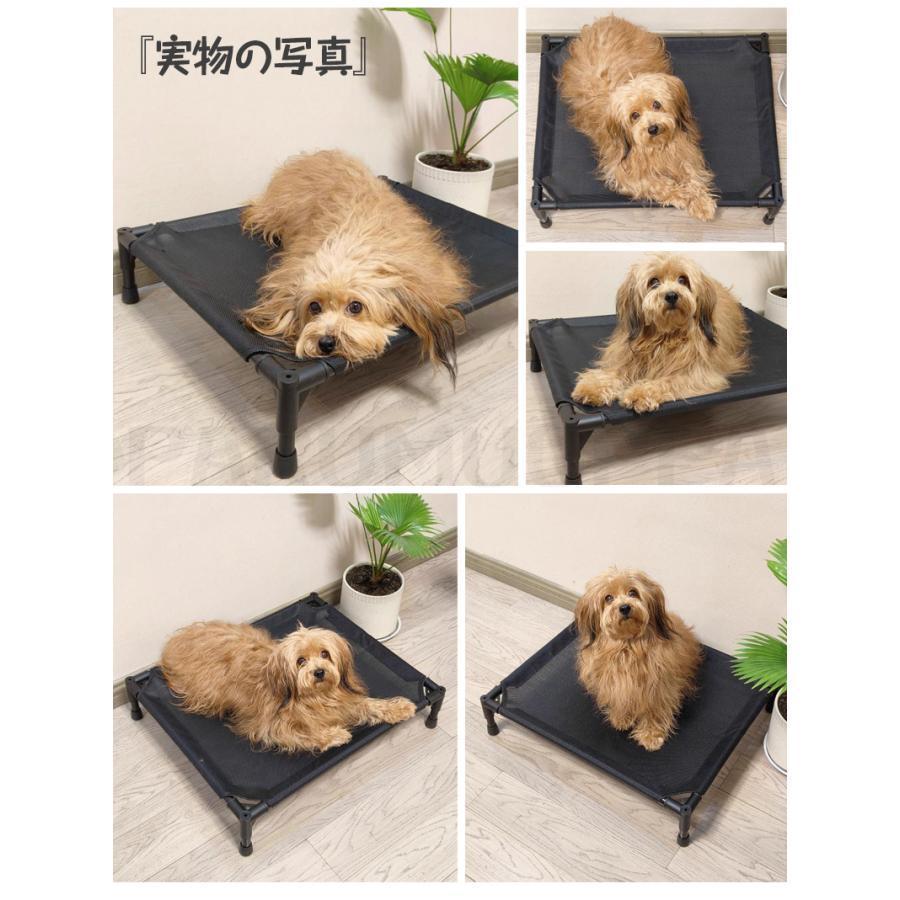 ペットベッド ペットコット ドッグコット コット 犬 イヌ 猫 ネコ ペット用ベッド 簡易ベッド ぺット用品 軽量 メッシュ 通気性 夏用 犬猫兼用 | ブランド登録なし | 13