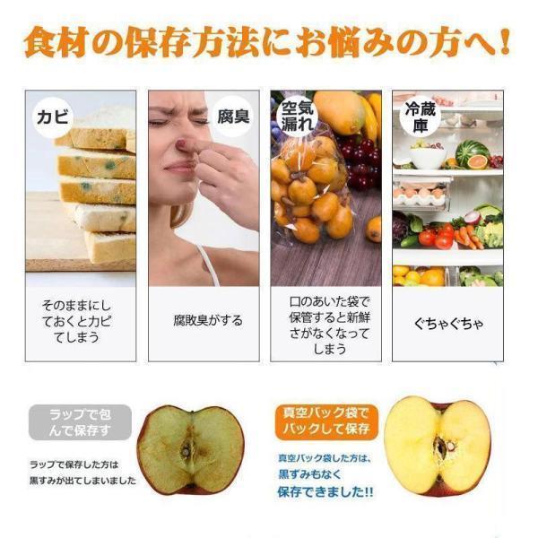 真空パック機 真空シーラー 真空パック器 真空袋10枚付き 65Kpa吸引力 乾湿対応 自動脱気 操作簡単 コンパクト 家庭用 1人暮らし用 業務用 | ブランド登録なし | 01
