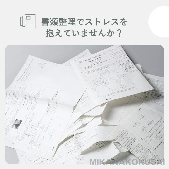 ファイル A4 クリアポケット 大容量 アコーディオン じゃばら 伸縮 13ポケット 12仕切り ファイルボックス | ブランド登録なし | 05