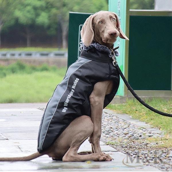 犬服 冬服 ジャケット ハーネス一体型ジャンパー ハーネス付き 服着せやすい アウター おしゃれ ベスト 大型犬 防寒着 背開き | ブランド登録なし | 16
