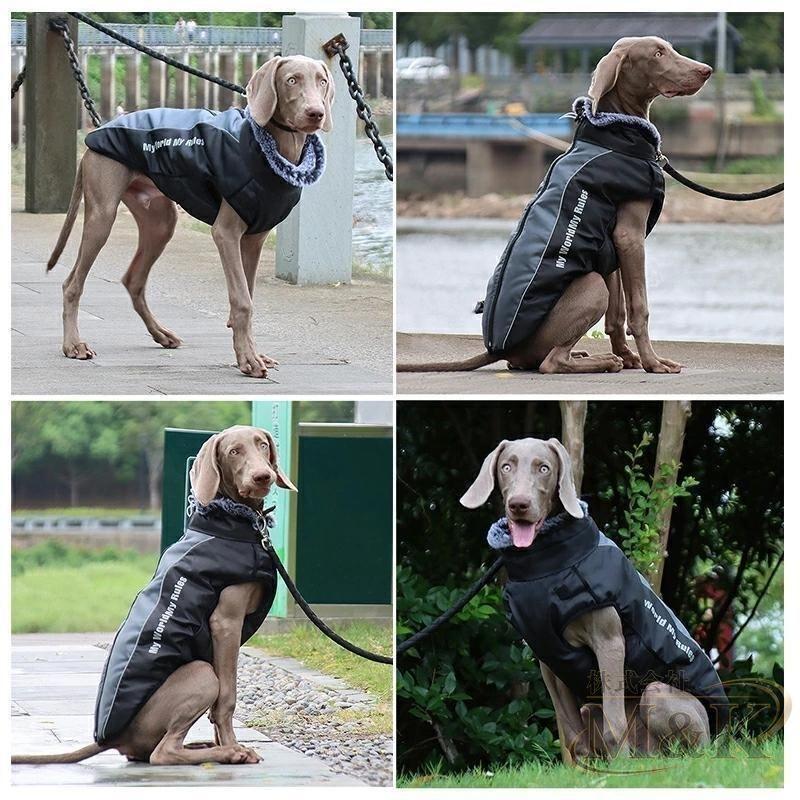 犬服 冬服 ジャケット ハーネス一体型ジャンパー ハーネス付き 服着せやすい アウター おしゃれ ベスト 大型犬 防寒着 背開き | ブランド登録なし | 08
